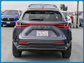 2024 Lexus NX 250 Base