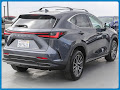 2024 Lexus NX 250 Base