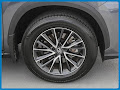 2024 Lexus NX 250 Base