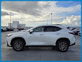 2023 Lexus NX 350h Premium