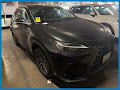 2023 Lexus NX 350h Premium