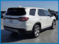 2024 Honda Pilot EX-L