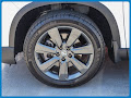 2024 Honda Pilot Sport